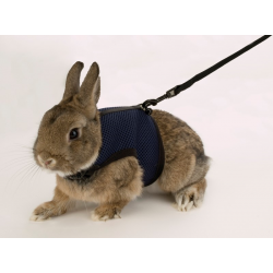 Ferplast Σαμαράκι Γάτας Jogging Extra Large